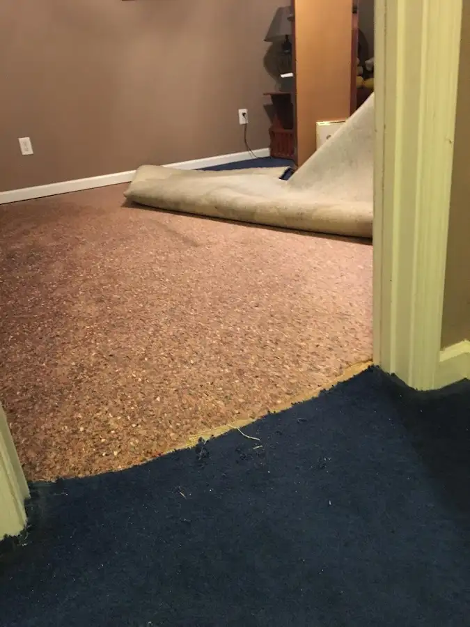 Carpet pad removal revealing water damage during Water Mitigation Services in Parker